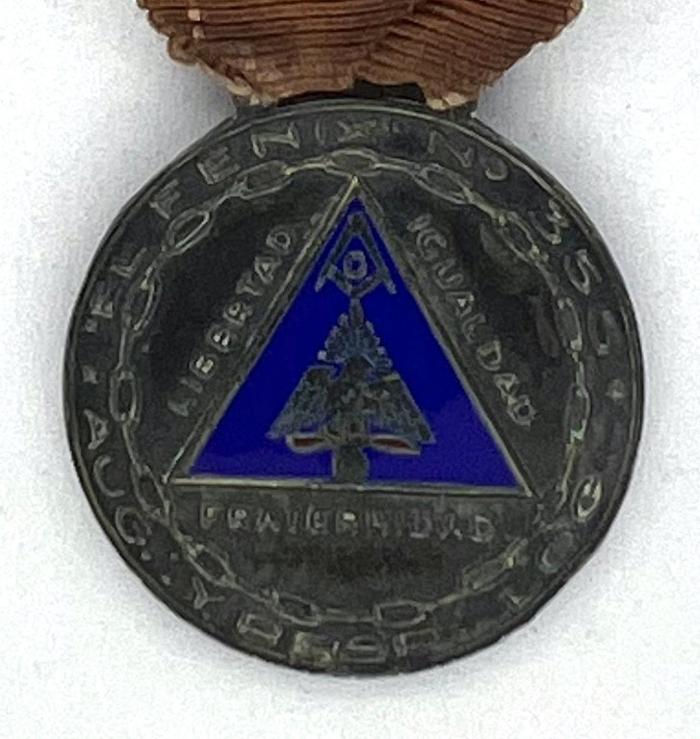 El Fenix Nº 355